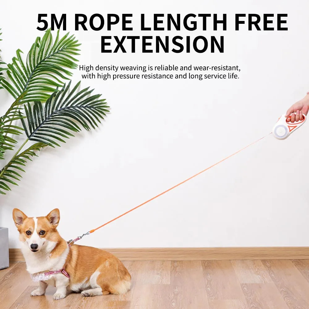 Trela Retrátil para Cães e Gatos – 3 m ou 5 m, Nylon Resistente para Passeios ao Ar Livre, Cães Pequenos e Médios