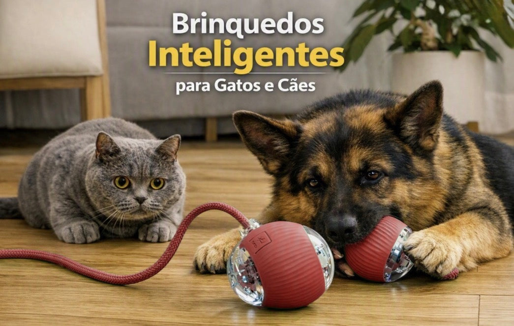 Bola Interativa Automática Recarregável para Cães e Gatos | Nuzo