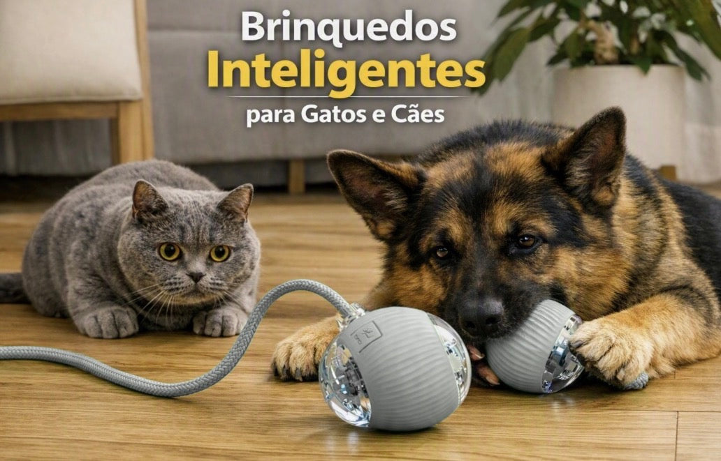 Bola Interativa Automática Recarregável para Cães e Gatos | Nuzo