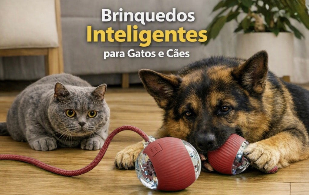 Bola Interativa Automática Recarregável para Cães e Gatos | Nuzo