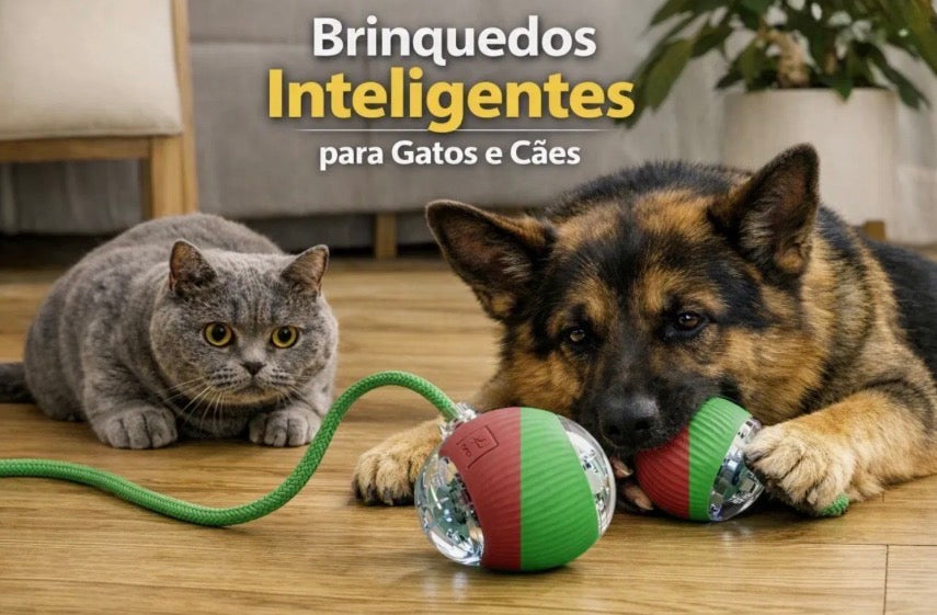Bola Interativa Automática Recarregável para Cães e Gatos | Nuzo