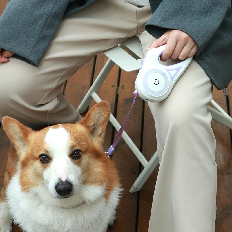 Trela Retrátil para Cães e Gatos – 3 m ou 5 m, Nylon Resistente para Passeios ao Ar Livre, Cães Pequenos e Médios